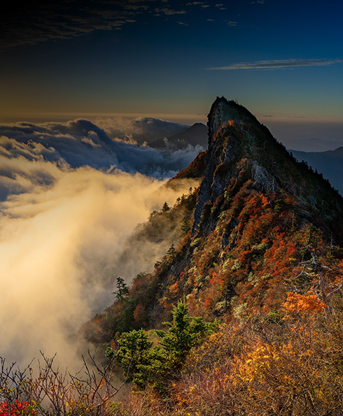 企业愿景